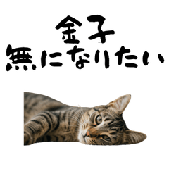 KANEKO TIRED CAT