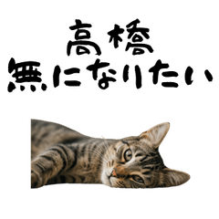 TAKAHASHI TIRED CAT