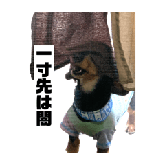 Ryu_20250312001433