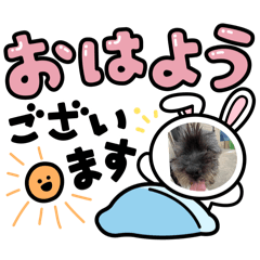 Kuro_20250312082359