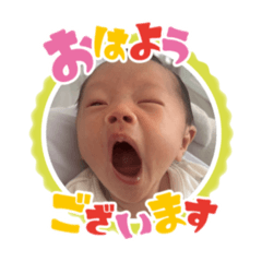 pipopa0219