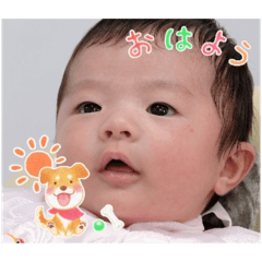 shin_20250311153146