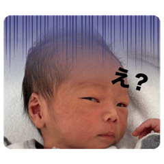 msk_20250312104131