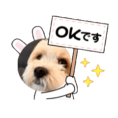 Riku_20250311151944