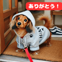 Hana's Walk Time Stickers – LINE stickers | LINE STORE