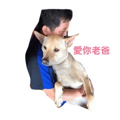 皮皮小世界