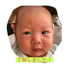 misato_20250311174413