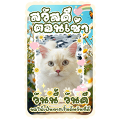 HappyManjoo