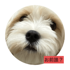 Riku_20250311151828