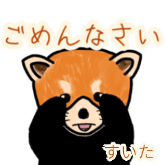 Suita's lesser panda