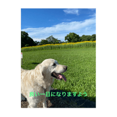 Yoko_20250311153749