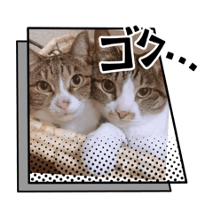 kyon_20250311235905