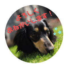 mama_20250311235107