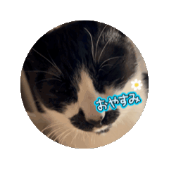 OHAGI_20250312095044
