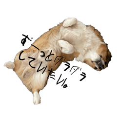 Kimi_20250312111102