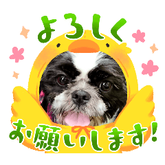 Haru_20250312113305