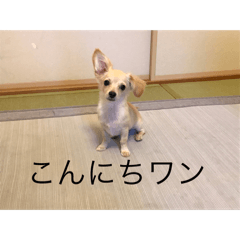 aki_20250311175205