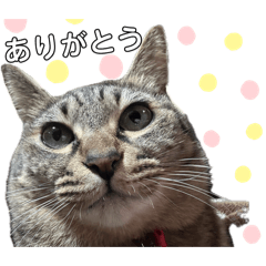 saori_20250311174740