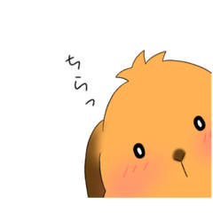 Silent cute rabbit 2