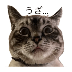 hinata_20250312045631