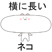 wide face cat