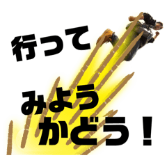 sakura_20250311155313