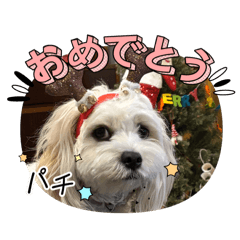 Riku_20250311190531