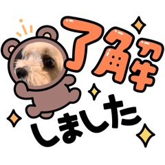 Riku_20250311191432