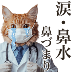 Spring/celebration/Doctor Cat