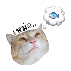 What The Cat: Giant #1