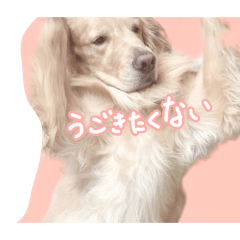 nana_20250311203404