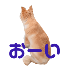 NANA_20250312120002