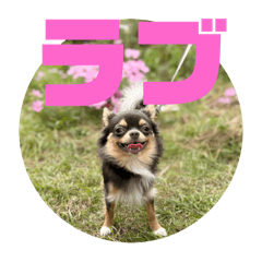 Riku_20250312122148