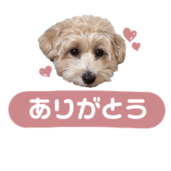 marupunomaru