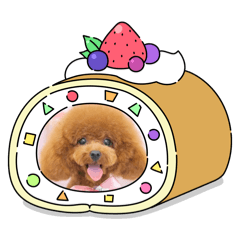 VIVI_20250312180233