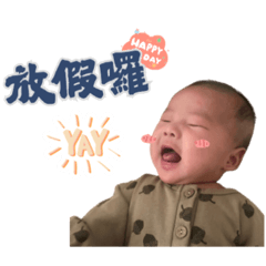 Toro大仔降落