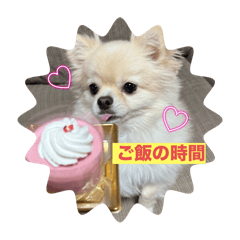Ruichanndog