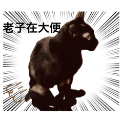 KURO貓2