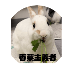 毛毛蟲跟狗比