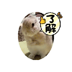 yu_20250312173026