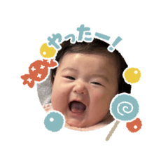 Hachi_20250312165916