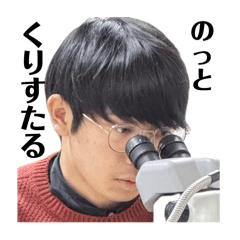 mj_20250312133613