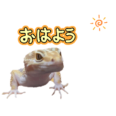 Tamago_20250312230516