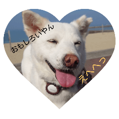 SACHI_20250312230223