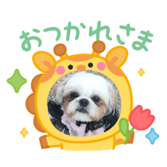 Lemon_20250312154859