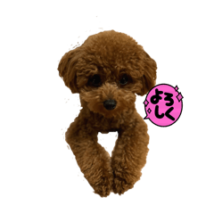 tom style_20250312234454