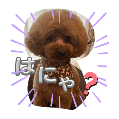 fuu_20250312205907