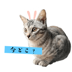 ken_20250312205517