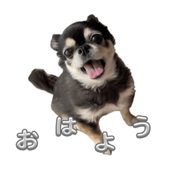 Riri_20250312210806