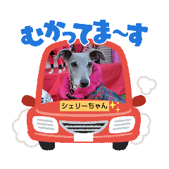 tomomi_20250312164234